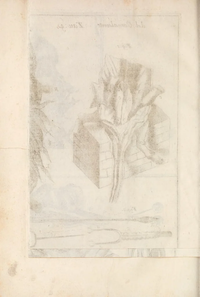 An illustration from Istoria del camaleonte affricano, e di varj animali d'Italia, 1715, leaf 192