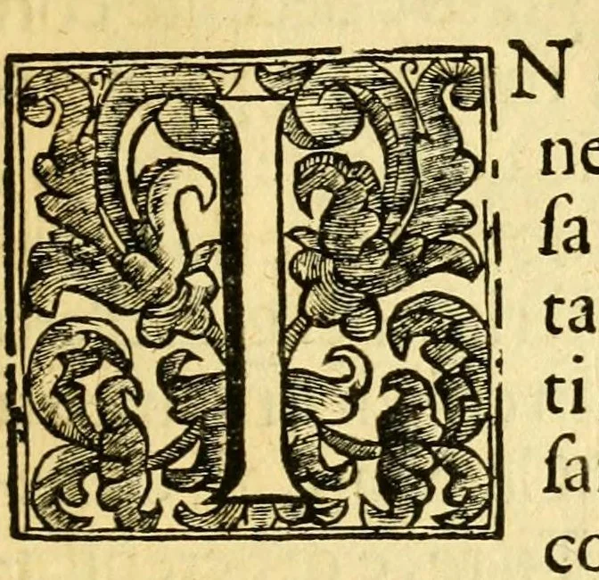 An illustration from Istoria della città d'Avignone, e del Contado Venesino stati della sede apostolica nella Gallia : co'lumi di molte principali materie dell' istoria uniuersale ecclesiastica, 1678, leaf 11