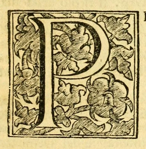 An illustration from Istoria della città d'Avignone, e del Contado Venesino stati della sede apostolica nella Gallia : co'lumi di molte principali materie dell' istoria uniuersale ecclesiastica, 1678, leaf 127