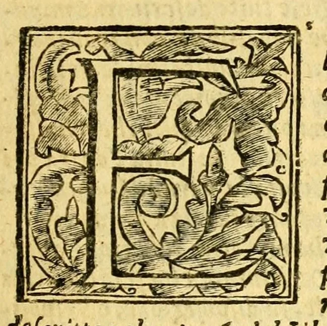 An illustration from Istoria della città d'Avignone, e del Contado Venesino stati della sede apostolica nella Gallia : co'lumi di molte principali materie dell' istoria uniuersale ecclesiastica, 1678, leaf 13