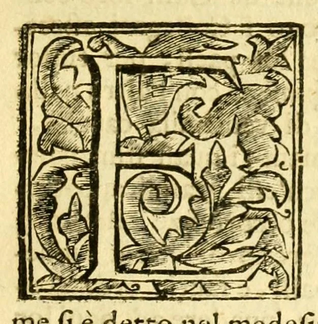 An illustration from Istoria della città d'Avignone, e del Contado Venesino stati della sede apostolica nella Gallia : co'lumi di molte principali materie dell' istoria uniuersale ecclesiastica, 1678, leaf 651