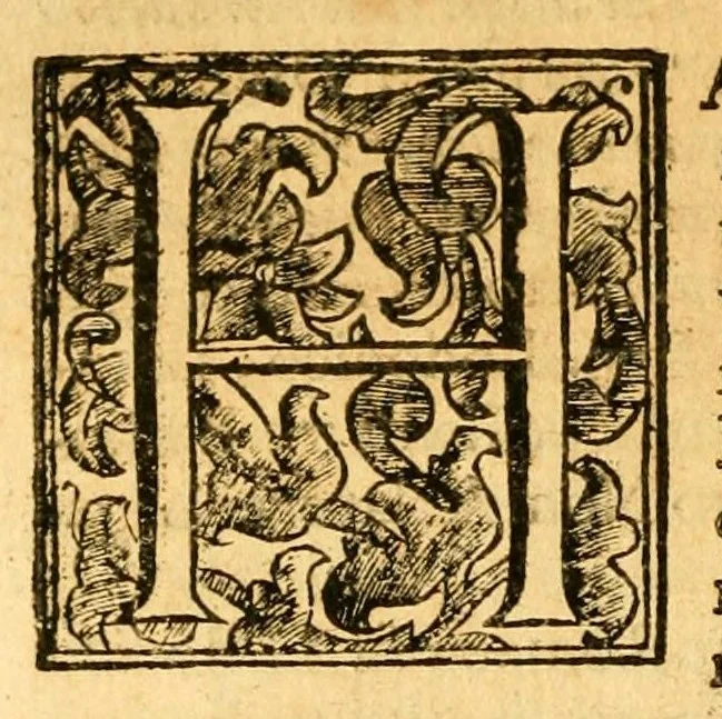 An illustration from Istoria della città d'Avignone, e del Contado Venesino stati della sede apostolica nella Gallia : co'lumi di molte principali materie dell' istoria uniuersale ecclesiastica, 1678, leaf 800