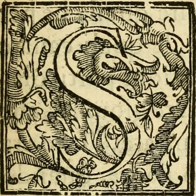 An illustration from Istoria de' suoi tempi di Giovambatista Adriani : gentilhumo fiorentino. Diuisa in libri ventidue. Di nuovo mandata in luce. Con li sommarii, e tavola, e le postille in margine delle cose più notabili, che in esse istorie si contengono, 1587, leaf 10