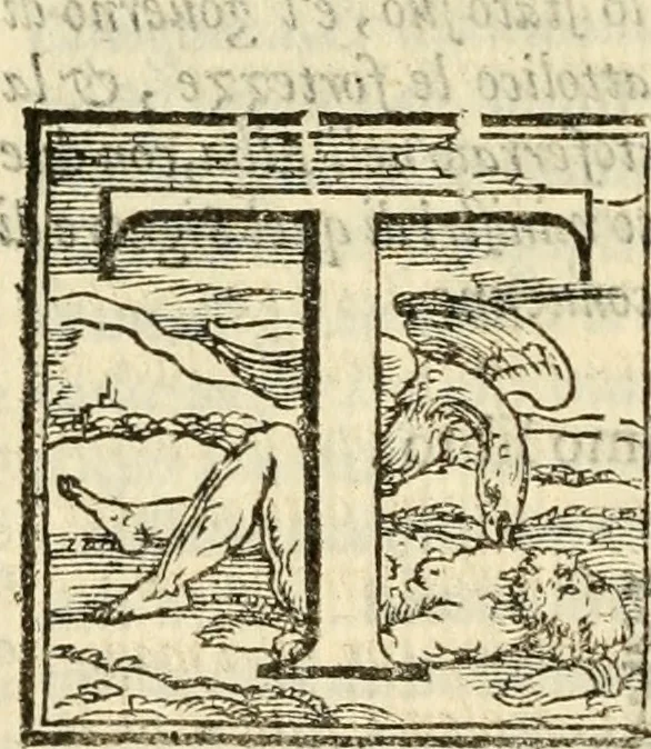 An illustration from Istoria de' suoi tempi di Giovambatista Adriani : gentilhumo fiorentino. Diuisa in libri ventidue. Di nuovo mandata in luce. Con li sommarii, e tavola, e le postille in margine delle cose più notabili, che in esse istorie si contengono, 1587, leaf 1049