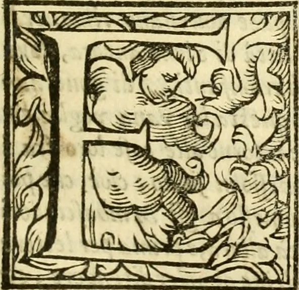 An illustration from Istoria de' suoi tempi di Giovambatista Adriani : gentilhumo fiorentino. Diuisa in libri ventidue. Di nuovo mandata in luce. Con li sommarii, e tavola, e le postille in margine delle cose più notabili, che in esse istorie si contengono, 1587, leaf 1138