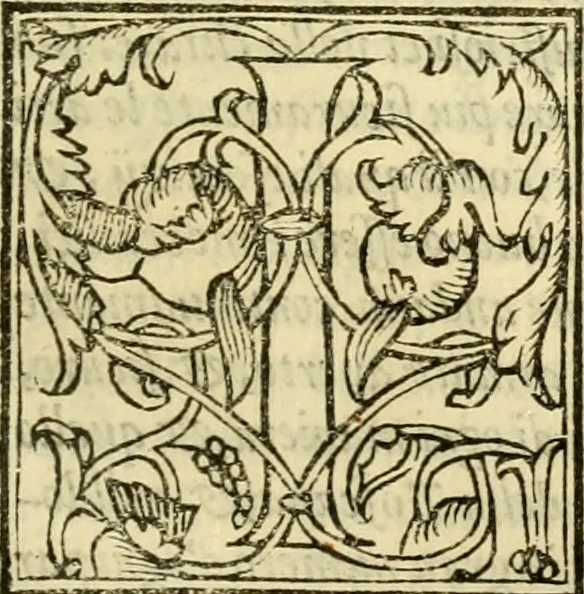 An illustration from Istoria de' suoi tempi di Giovambatista Adriani : gentilhumo fiorentino. Diuisa in libri ventidue. Di nuovo mandata in luce. Con li sommarii, e tavola, e le postille in margine delle cose più notabili, che in esse istorie si contengono, 1587, leaf 1218