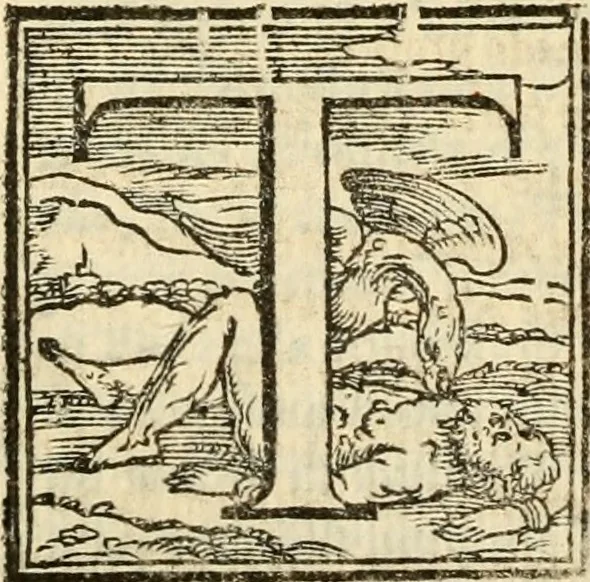 An illustration from Istoria de' suoi tempi di Giovambatista Adriani : gentilhumo fiorentino. Diuisa in libri ventidue. Di nuovo mandata in luce. Con li sommarii, e tavola, e le postille in margine delle cose più notabili, che in esse istorie si contengono, 1587, leaf 1301