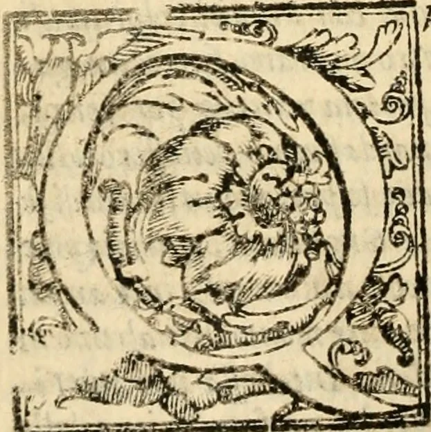 An illustration from Istoria de' suoi tempi di Giovambatista Adriani : gentilhumo fiorentino. Diuisa in libri ventidue. Di nuovo mandata in luce. Con li sommarii, e tavola, e le postille in margine delle cose più notabili, che in esse istorie si contengono, 1587, leaf 143