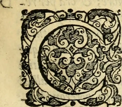 An illustration from Istoria de' suoi tempi di Giovambatista Adriani : gentilhumo fiorentino. Diuisa in libri ventidue. Di nuovo mandata in luce. Con li sommarii, e tavola, e le postille in margine delle cose più notabili, che in esse istorie si contengono, 1587, leaf 16