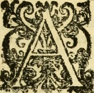 An illustration from Istoria de' suoi tempi di Giovambatista Adriani : gentilhumo fiorentino. Diuisa in libri ventidue. Di nuovo mandata in luce. Con li sommarii, e tavola, e le postille in margine delle cose più notabili, che in esse istorie si contengono, 1587, leaf 1722