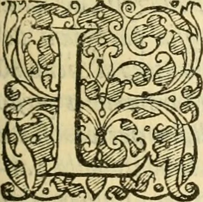 An illustration from Istoria de' suoi tempi di Giovambatista Adriani : gentilhumo fiorentino. Diuisa in libri ventidue. Di nuovo mandata in luce. Con li sommarii, e tavola, e le postille in margine delle cose più notabili, che in esse istorie si contengono, 1587, leaf 214