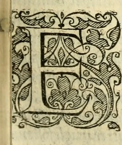 An illustration from Istoria de' suoi tempi di Giovambatista Adriani : gentilhumo fiorentino. Diuisa in libri ventidue. Di nuovo mandata in luce. Con li sommarii, e tavola, e le postille in margine delle cose più notabili, che in esse istorie si contengono, 1587, leaf 298