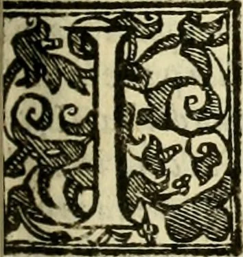 An illustration from Istoria de' suoi tempi di Giovambatista Adriani : gentilhumo fiorentino. Diuisa in libri ventidue. Di nuovo mandata in luce. Con li sommarii, e tavola, e le postille in margine delle cose più notabili, che in esse istorie si contengono, 1587, leaf 456