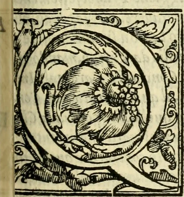 An illustration from Istoria de' suoi tempi di Giovambatista Adriani : gentilhumo fiorentino. Diuisa in libri ventidue. Di nuovo mandata in luce. Con li sommarii, e tavola, e le postille in margine delle cose più notabili, che in esse istorie si contengono, 1587, leaf 510