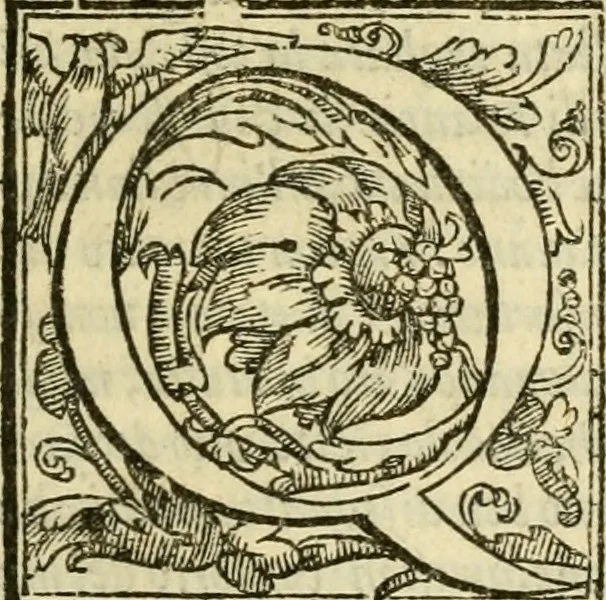 An illustration from Istoria de' suoi tempi di Giovambatista Adriani : gentilhumo fiorentino. Diuisa in libri ventidue. Di nuovo mandata in luce. Con li sommarii, e tavola, e le postille in margine delle cose più notabili, che in esse istorie si contengono, 1587, leaf 816