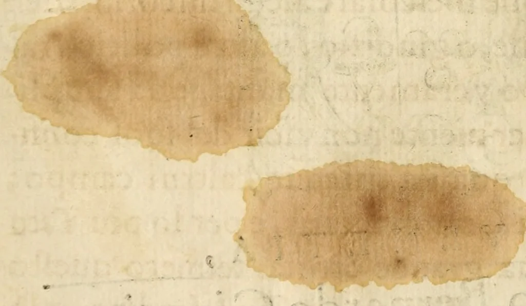 An illustration from Istoria de' suoi tempi di Giovambatista Adriani : gentilhumo fiorentino. Diuisa in libri ventidue. Di nuovo mandata in luce. Con li sommarii, e tavola, e le postille in margine delle cose più notabili, che in esse istorie si contengono, 1587, leaf 9