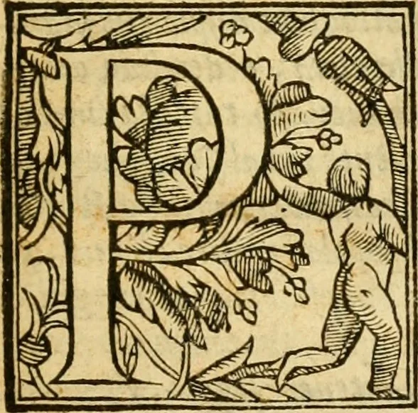 An illustration from Istoria de' suoi tempi di Giovambatista Adriani : gentilhumo fiorentino. Diuisa in libri ventidue. Di nuovo mandata in luce. Con li sommarii, e tavola, e le postille in margine delle cose più notabili, che in esse istorie si contengono, 1587, leaf 902