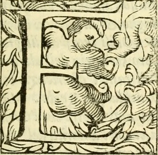 An illustration from Istoria de' suoi tempi di Giovambatista Adriani : gentilhumo fiorentino. Diuisa in libri ventidue. Di nuovo mandata in luce. Con li sommarii, e tavola, e le postille in margine delle cose più notabili, che in esse istorie si contengono, 1587, leaf 972
