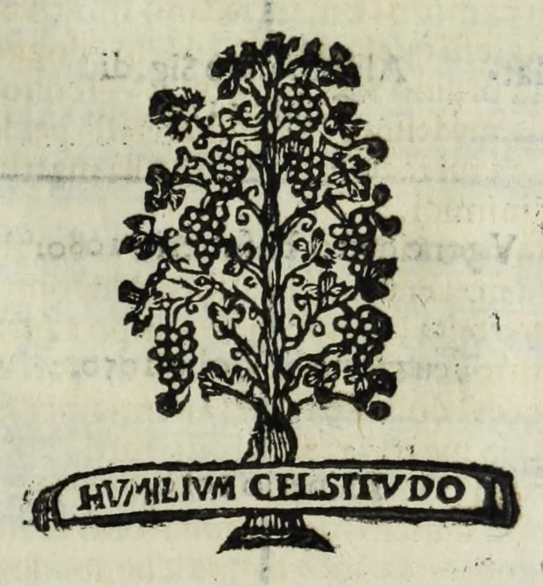An illustration from Istoria genealogica delle famiglie nobili toscane et umbre, 1668, leaf 223