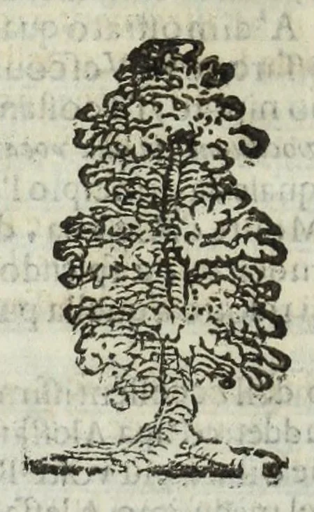 An illustration from Istoria genealogica delle famiglie nobili toscane et umbre, 1668, leaf 498