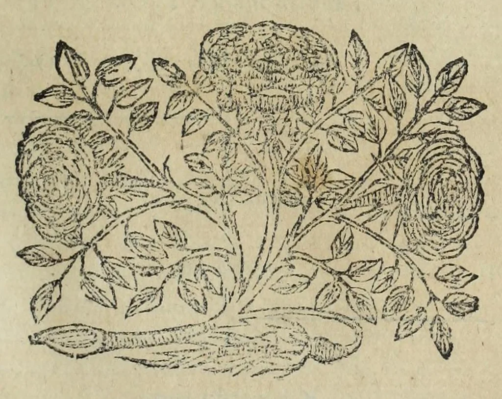 An illustration from Istoria genealogica delle famiglie nobili toscane et umbre, 1668, leaf 641