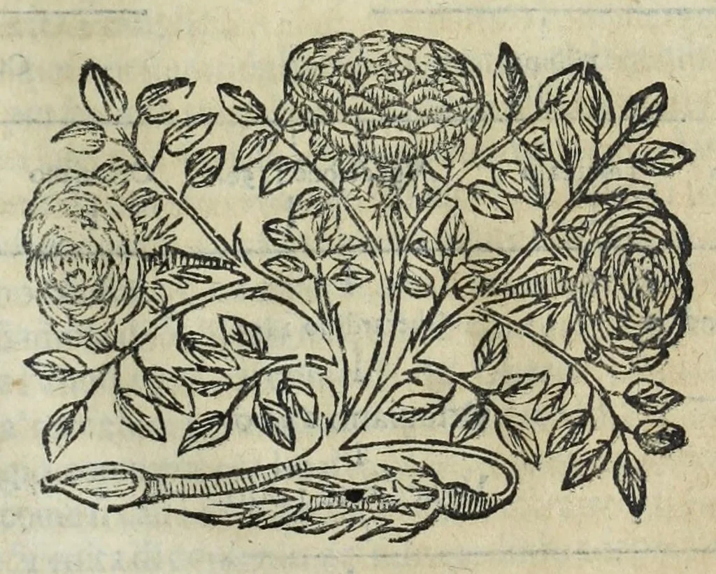 An illustration from Istoria genealogica delle famiglie nobili toscane et umbre, 1668, leaf 675