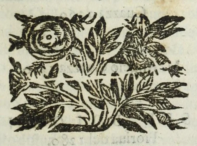 An illustration from Istoria genealogica delle famiglie nobili toscane et umbre, 1668, leaf 713