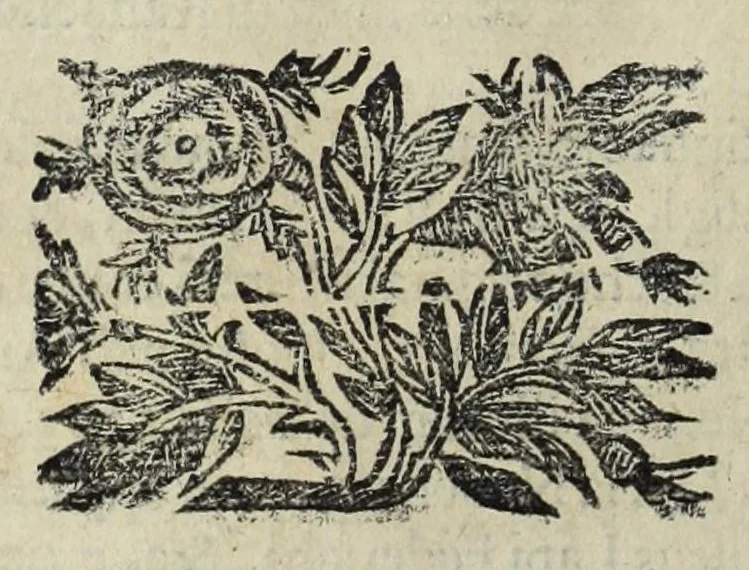 An illustration from Istoria genealogica delle famiglie nobili toscane et umbre, 1668, leaf 808