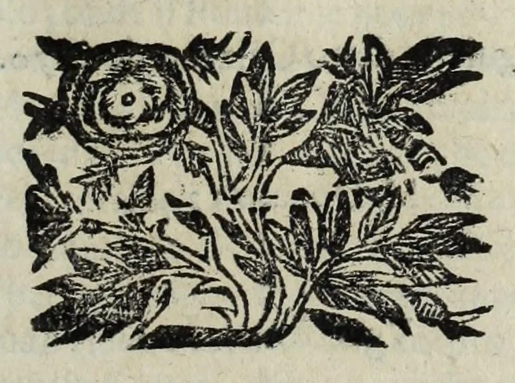 An illustration from Istoria genealogica delle famiglie nobili toscane et umbre, 1668, leaf 861