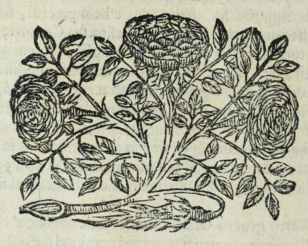 An illustration from Istoria genealogica delle famiglie nobili toscane et umbre, 1668, leaf 894