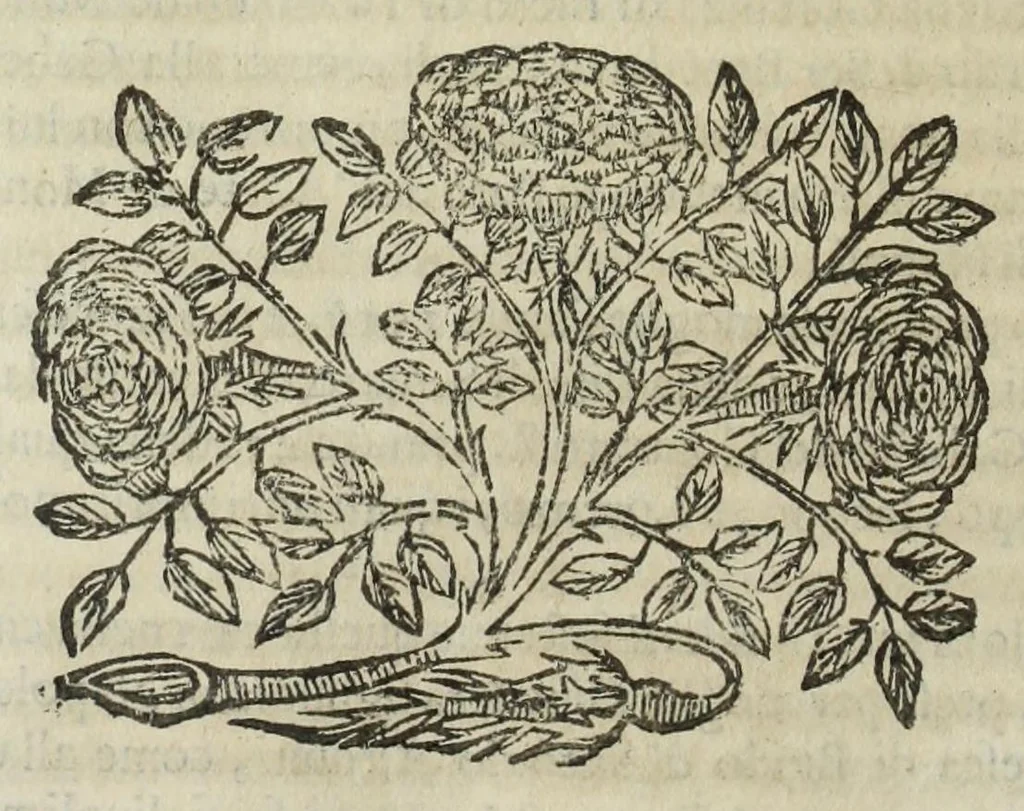 An illustration from Istoria genealogica delle famiglie nobili toscane et umbre, 1668, leaf 986