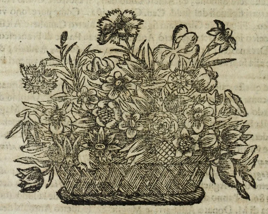 An illustration from Istoria genealogica delle famiglie nobili toscane et umbre, 1668, leaf 242