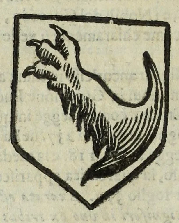 An illustration from Istoria genealogica delle famiglie nobili toscane et umbre, 1668, leaf 304