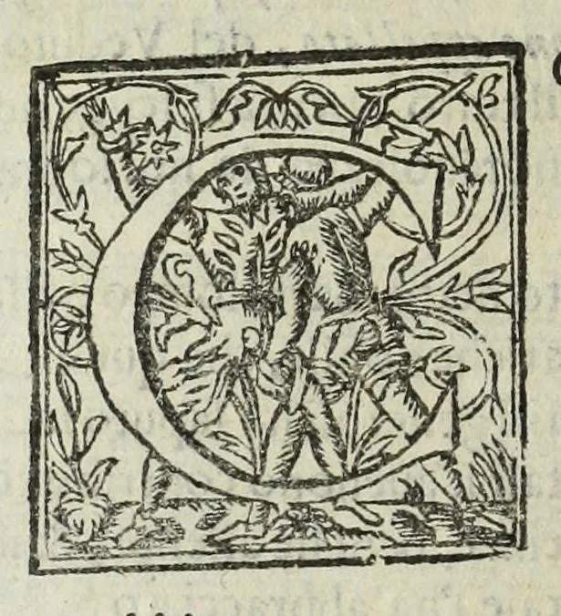 An illustration from Istoria genealogica delle famiglie nobili toscane et umbre, 1668, leaf 304