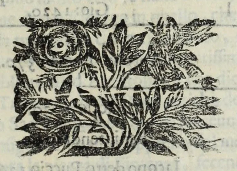 An illustration from Istoria genealogica delle famiglie nobili toscane et umbre, 1668, leaf 373