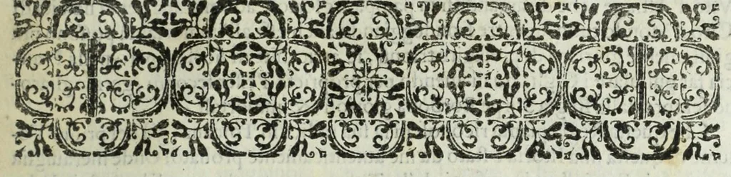 An illustration from Istoria genealogica delle famiglie nobili toscane et umbre, 1668, leaf 489