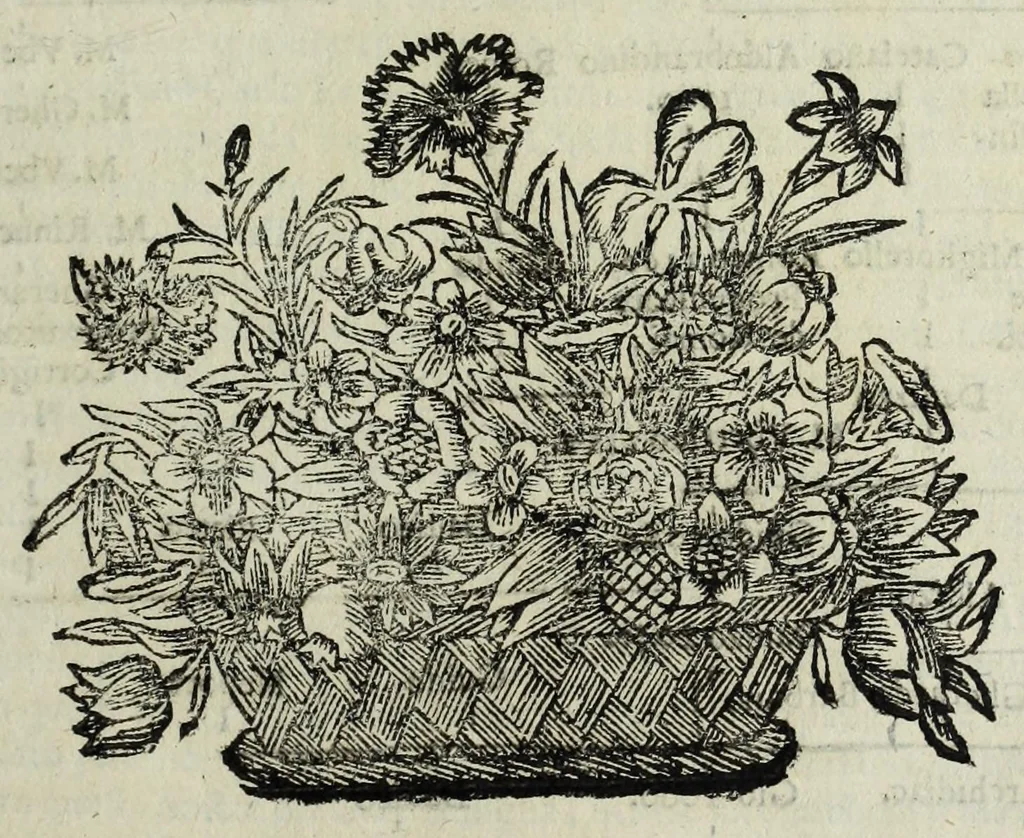 An illustration from Istoria genealogica delle famiglie nobili toscane et umbre, 1668, leaf 53