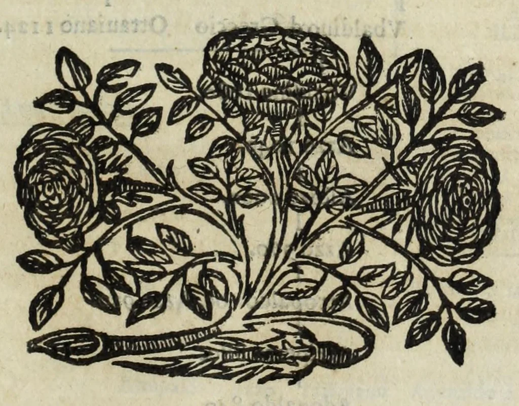 An illustration from Istoria genealogica delle famiglie nobili toscane et umbre, 1668, leaf 711