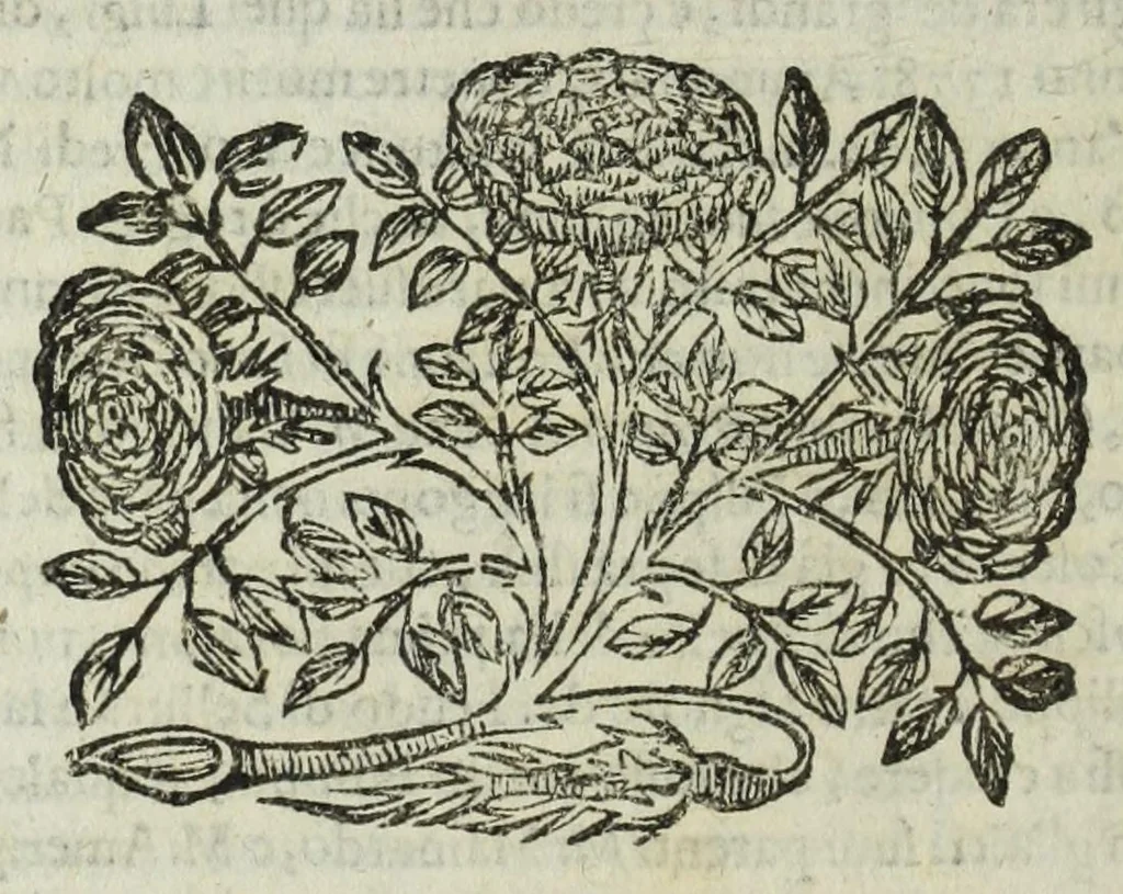 An illustration from Istoria genealogica delle famiglie nobili toscane et umbre, 1668, leaf 82