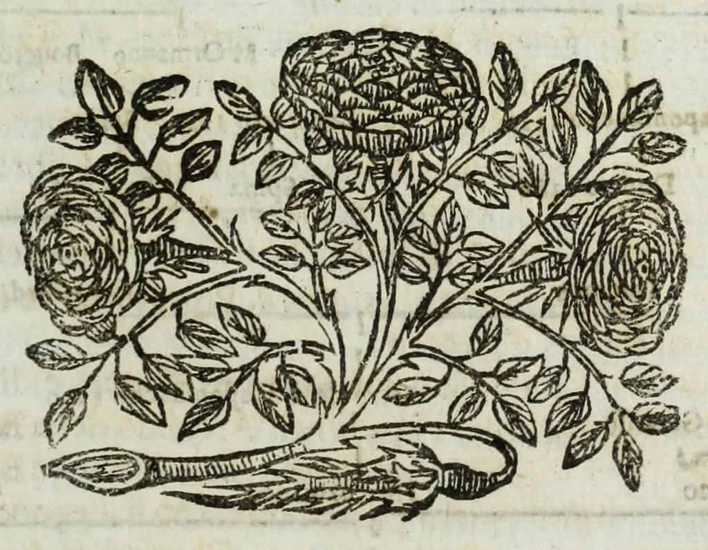 An illustration from Istoria genealogica delle famiglie nobili toscane et umbre, 1668, leaf 851