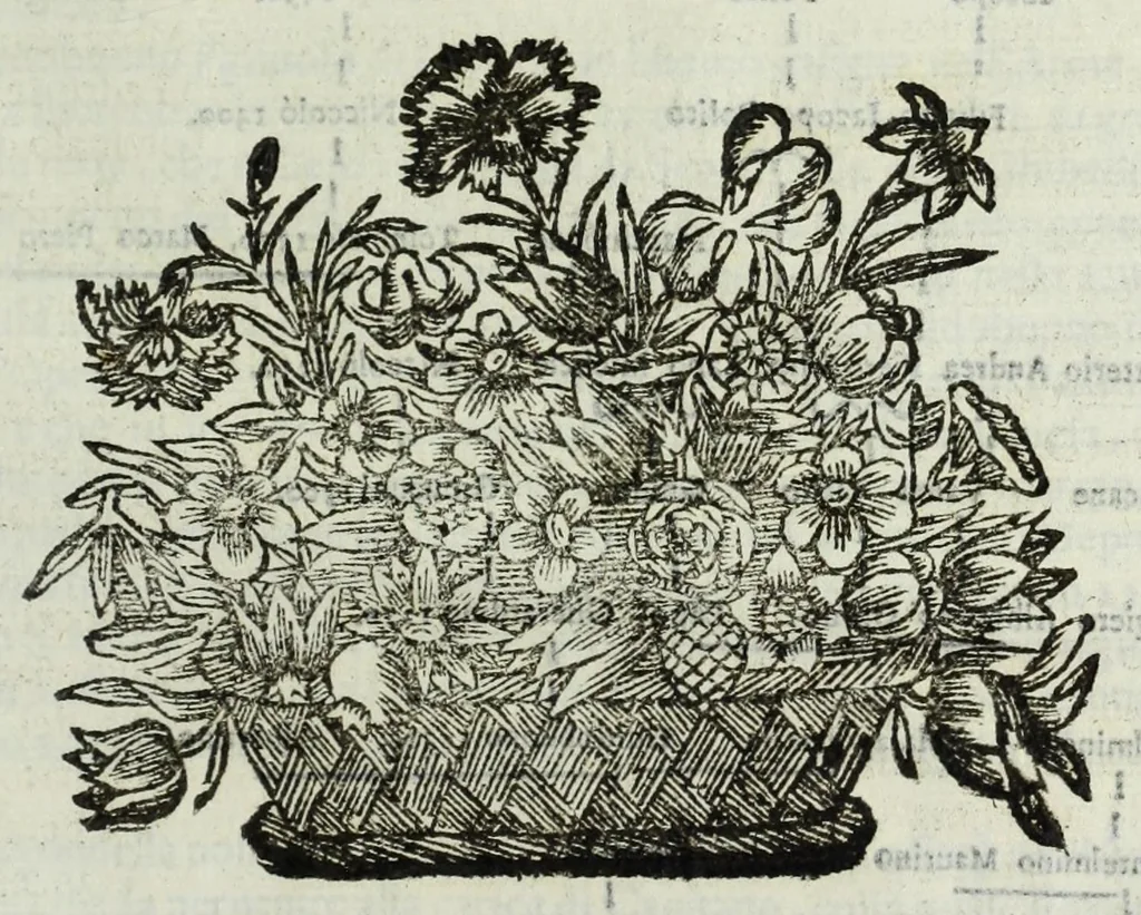 An illustration from Istoria genealogica delle famiglie nobili toscane et umbre, 1668, leaf 889