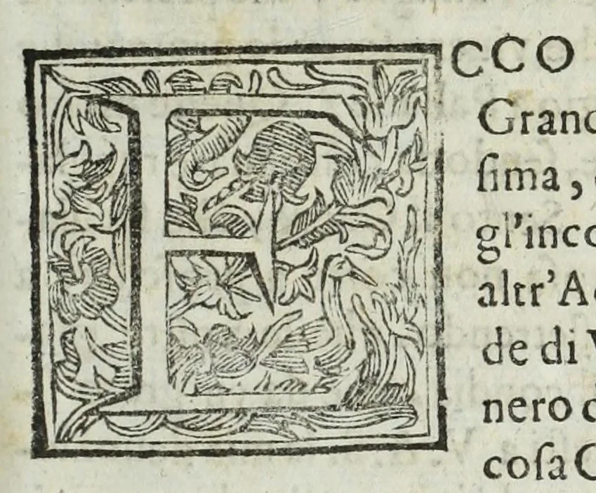 An illustration from Istoria genealogica delle famiglie nobili toscane et umbre, 1668, leaf 9