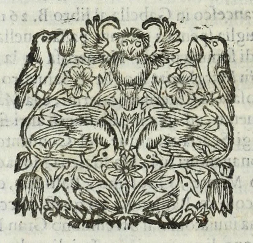An illustration from Istoria genealogica delle famiglie nobili toscane et umbre, 1668, leaf 984