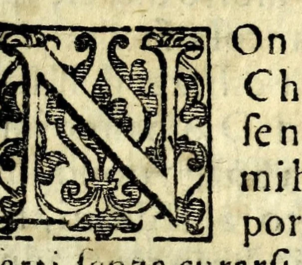 An illustration from Istoria ò breuissima relatione della distruttione dell' Indie Occidentali, 1630, leaf 17