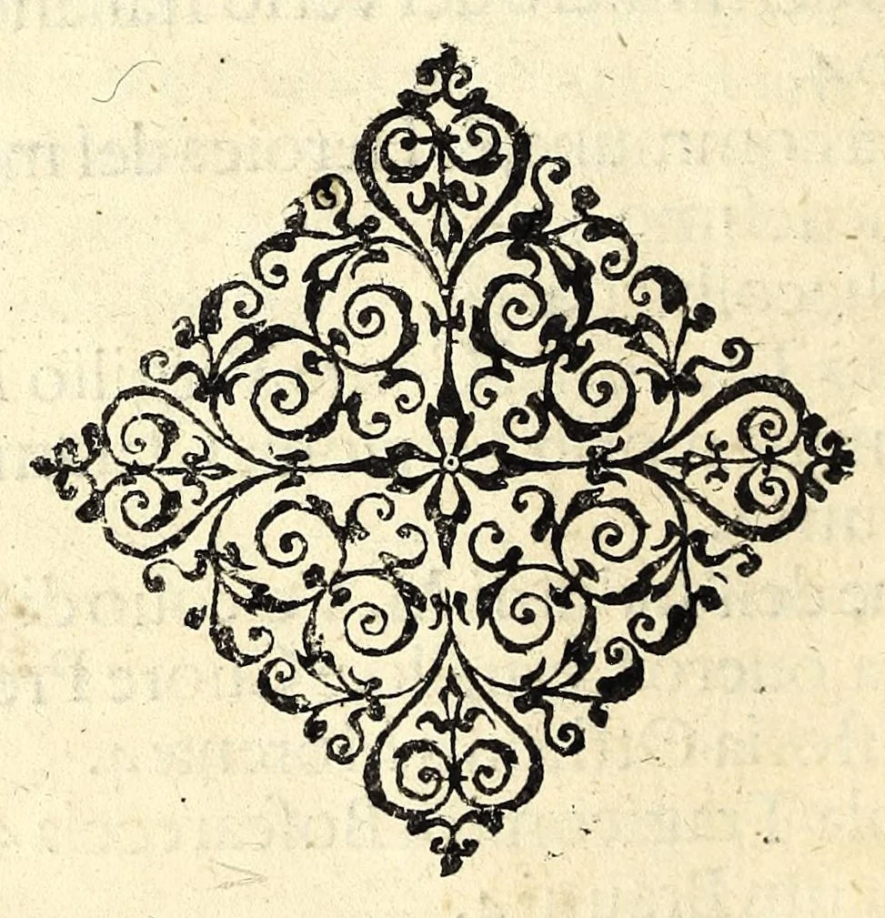 An illustration from Istoria ò breuissima relatione della distruttione dell' Indie Occidentali, 1630, leaf 172