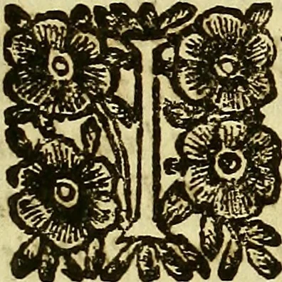An illustration from Istorica descrittione de' tre regni Congo, Matamba, et Angola : situati nell'Etiopia inferiore occidentale e delle missioni apostoliche esercitateui da religiosi Capuccini, 1690, leaf 12