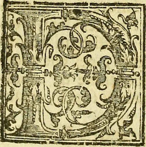 An illustration from Istorica descrittione de' tre regni Congo, Matamba, et Angola : situati nell'Etiopia inferiore occidentale e delle missioni apostoliche esercitateui da religiosi Capuccini, 1690, leaf 167