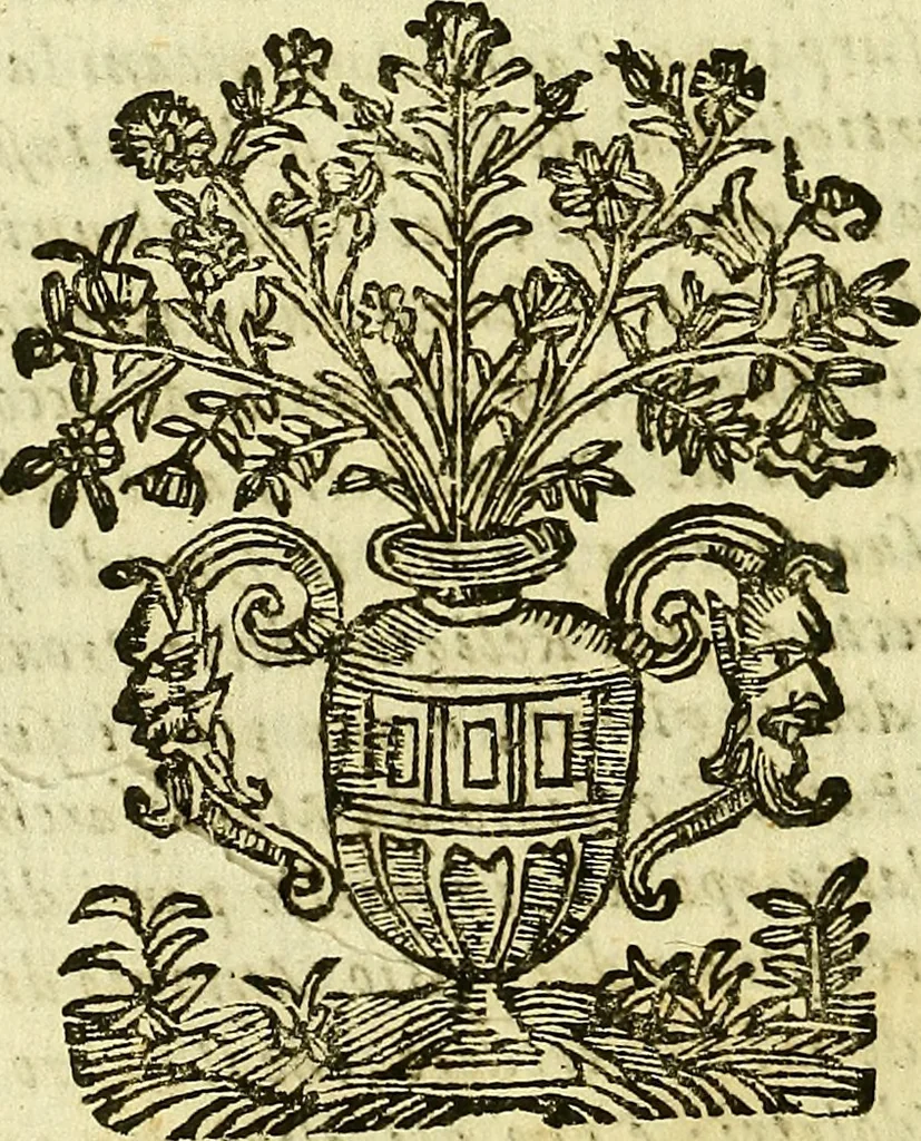 An illustration from Istorica descrittione de' tre regni Congo, Matamba, et Angola : situati nell'Etiopia inferiore occidentale e delle missioni apostoliche esercitateui da religiosi Capuccini, 1690, leaf 19