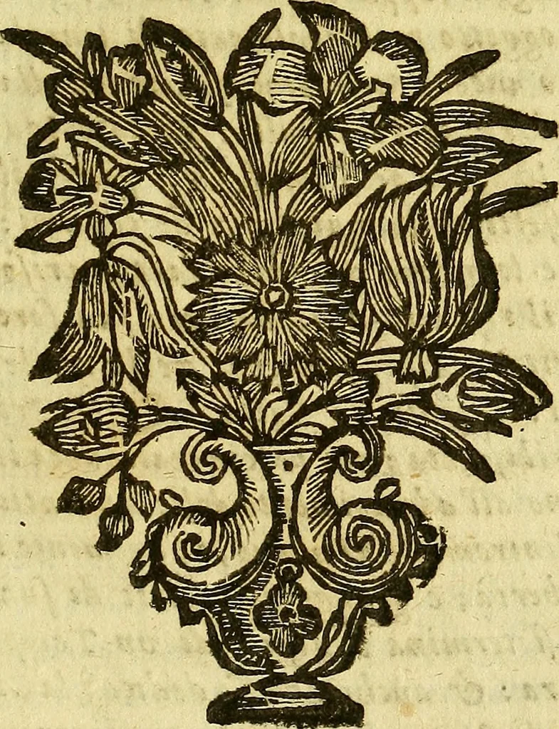 An illustration from Istorica descrittione de' tre regni Congo, Matamba, et Angola : situati nell'Etiopia inferiore occidentale e delle missioni apostoliche esercitateui da religiosi Capuccini, 1690, leaf 540