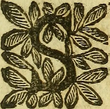 An illustration from Istorica descrittione de' tre regni Congo, Matamba, et Angola : situati nell'Etiopia inferiore occidentale e delle missioni apostoliche esercitateui da religiosi Capuccini, 1690, leaf 636
